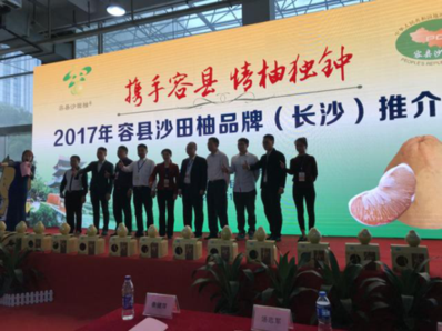 “攜手容縣 情柚獨(dú)鐘” 2017年容縣沙田柚品牌推介活動(dòng)在長